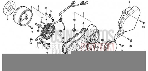 LEFT CRANKCASE COVER/ GENERATOR NX250P de 1993